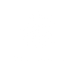 Mary Robinson Kinesiology Massage and Yoga